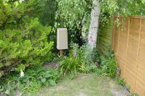 what it looks like in the garden